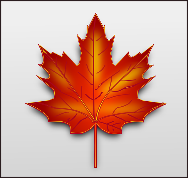 Canada’s Express Entry System: Canada removes bonus ranking points for job offers